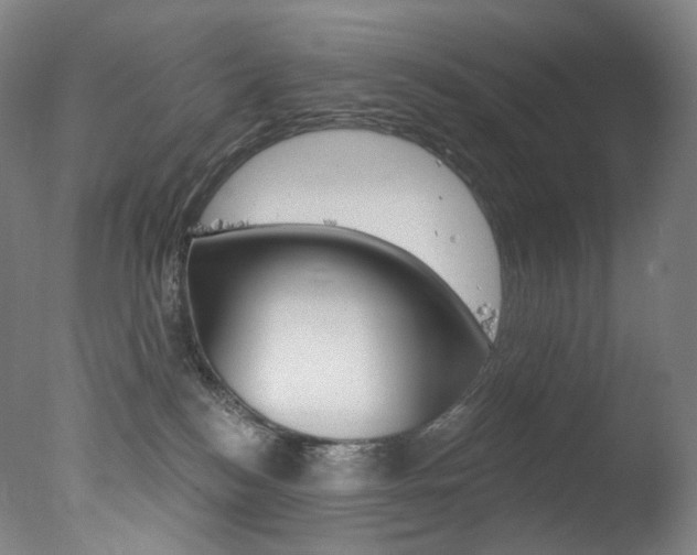 X0000078030184200610271052