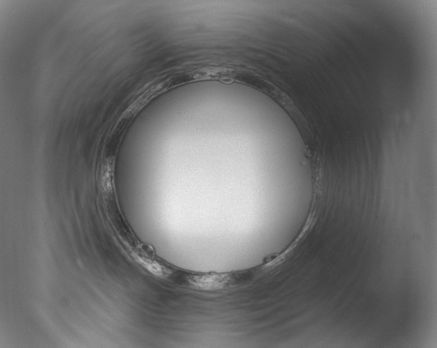 X0000078030191200610271052