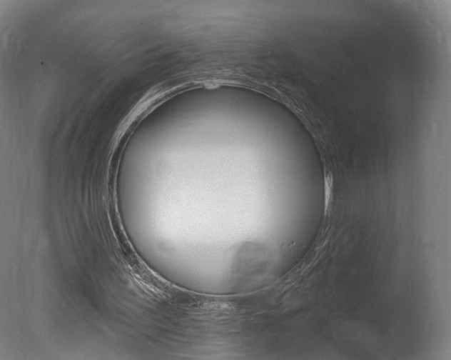 X0000078030195200610271051