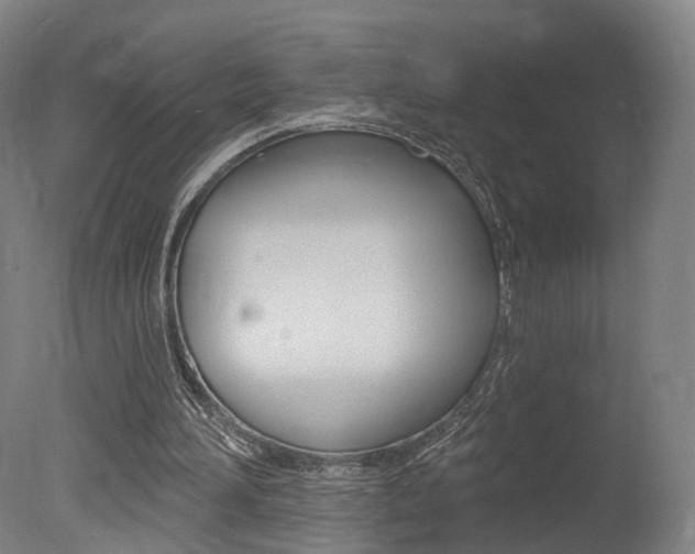 X0000078030196200610271051