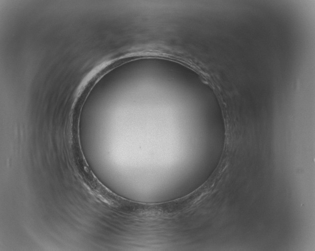 X0000078030200200610271051
