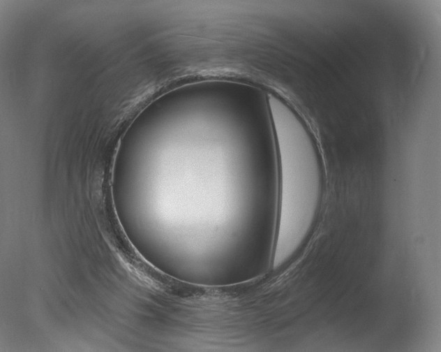 X0000078030201200610271051