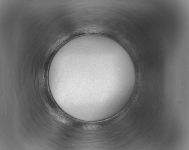 X0000078030202200610271051