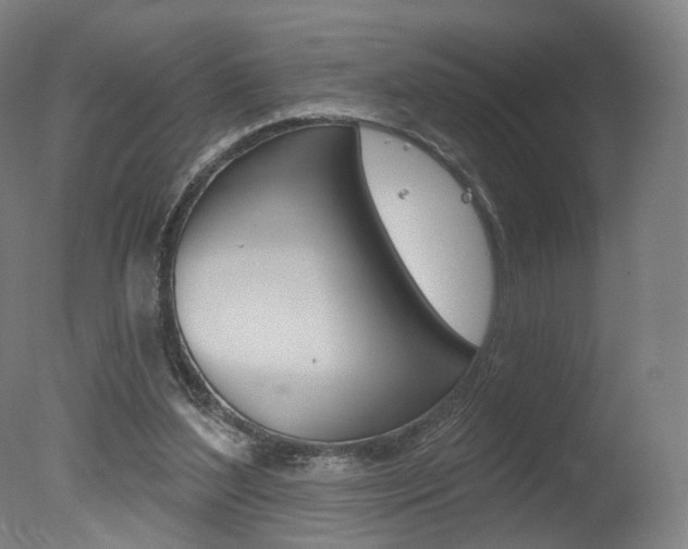 X0000078030204200610271051