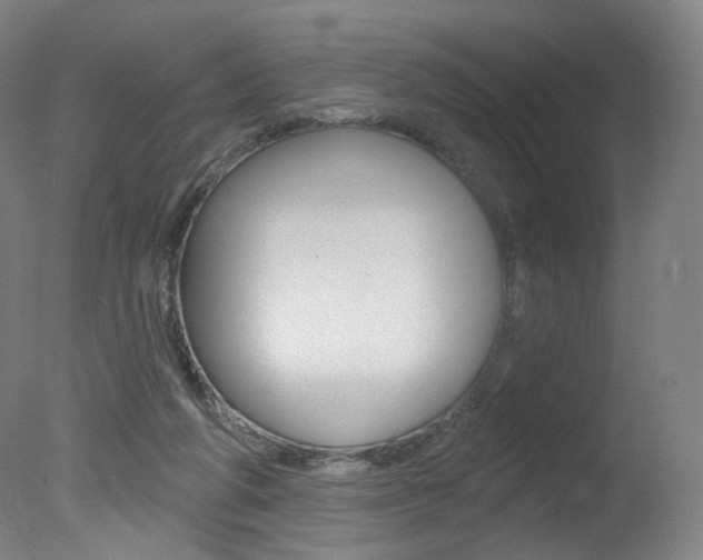 X0000078030210200610271051