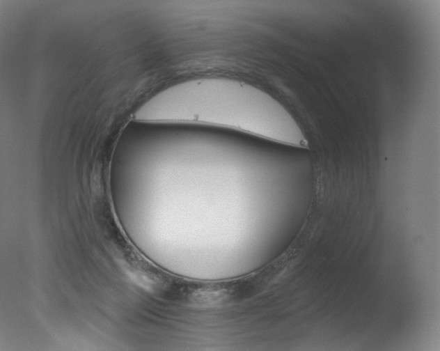 X0000078030213200610271051