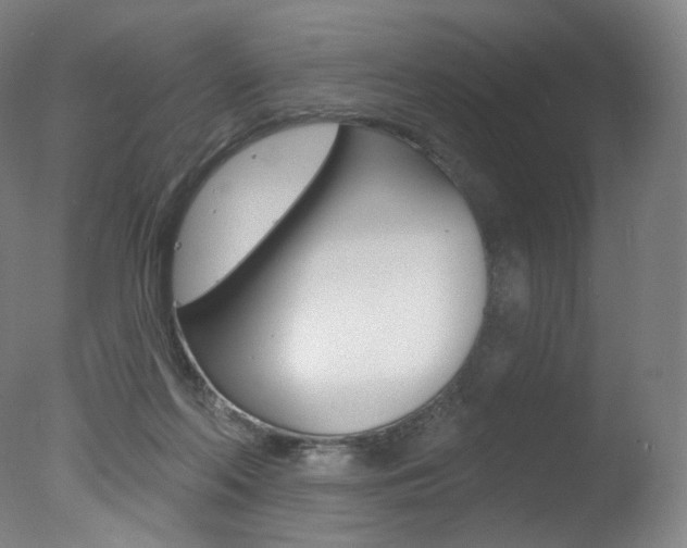X0000078030214200610271051