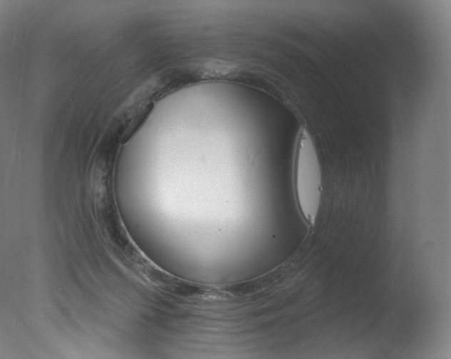 X0000078030215200610271051