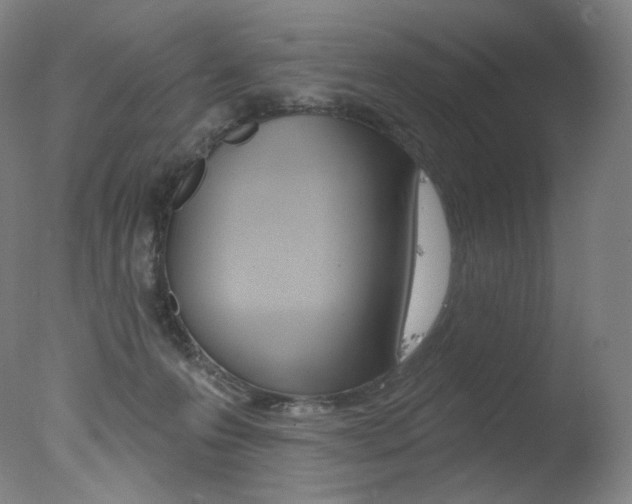 X0000078030223200610271050