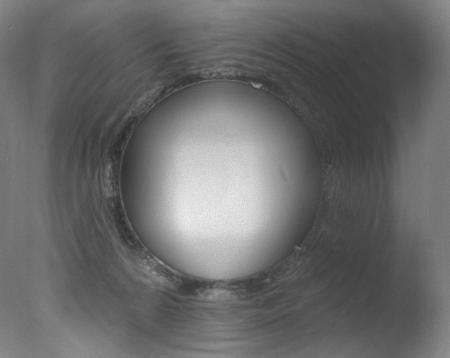 X0000078030224200610271050