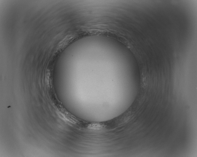 X0000078030231200610271050