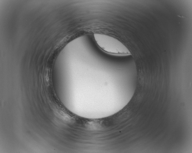 X0000078030232200610271050