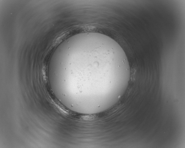 X0000078030238200610271050