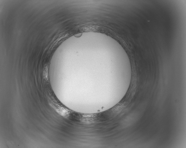 X0000078030240200610271050