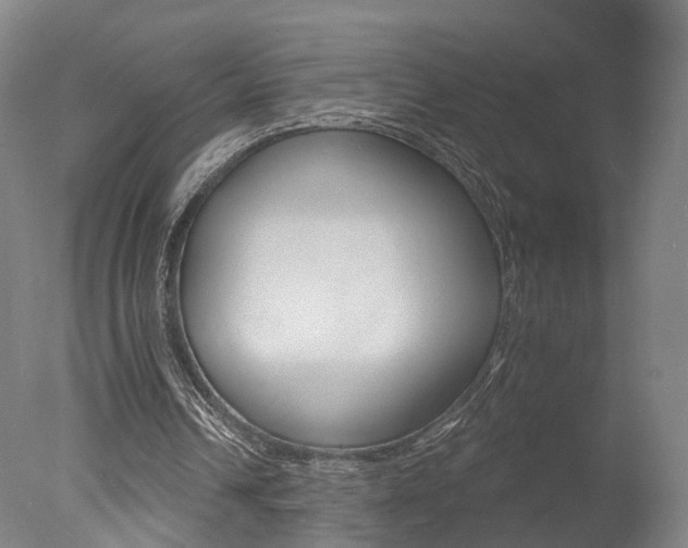 X0000078030242200610271049