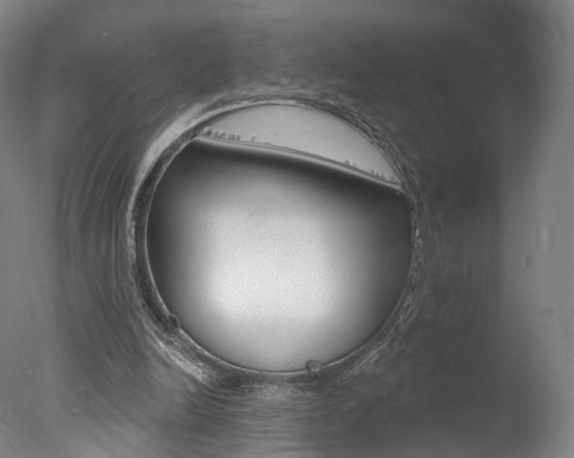 X0000078030246200610271049