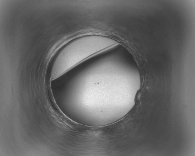 X0000078030247200610271049