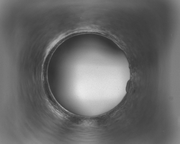 X0000078030248200610271049