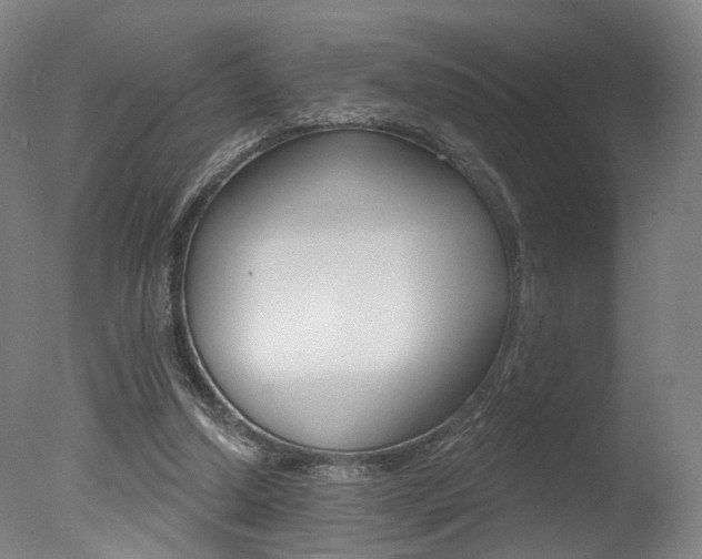 X0000078030250200610271049