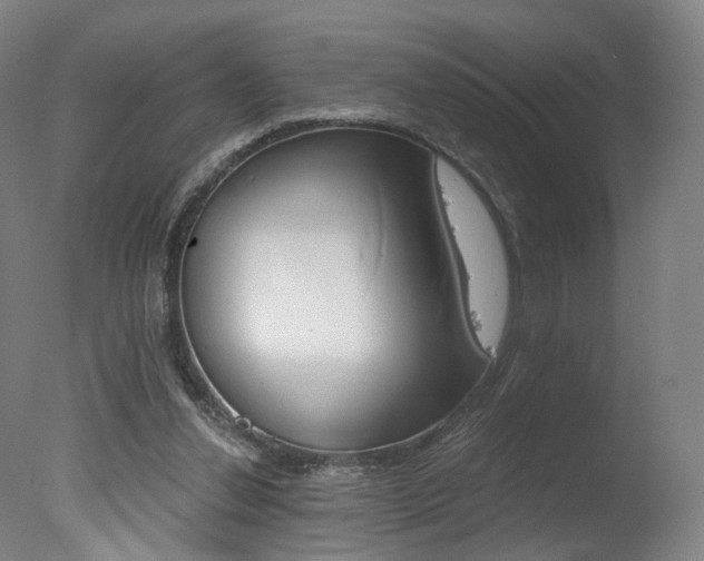 X0000078030252200610271049