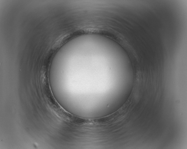 X0000078030259200610271050