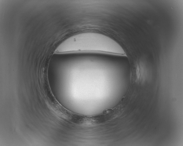 X0000078030263200610271050