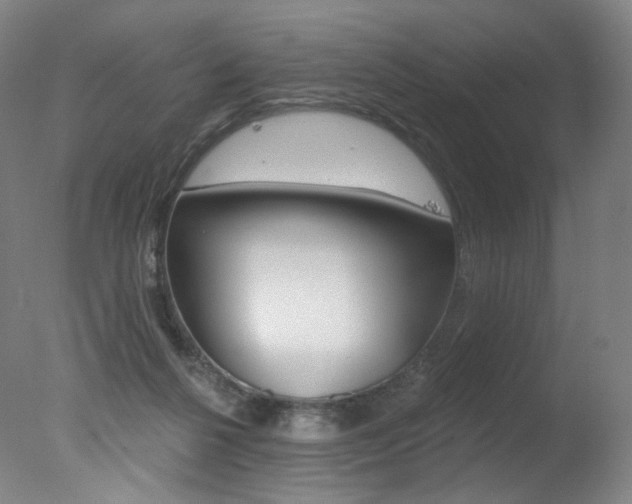 X0000078030264200610271050