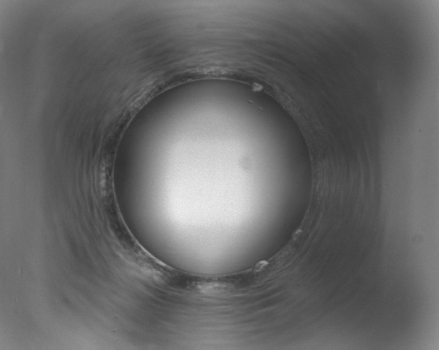 X0000078030268200610271050