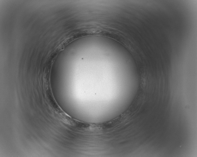 X0000078030270200610271050