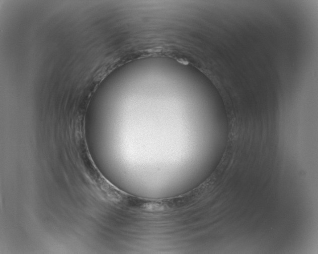 X0000078030272200610271050