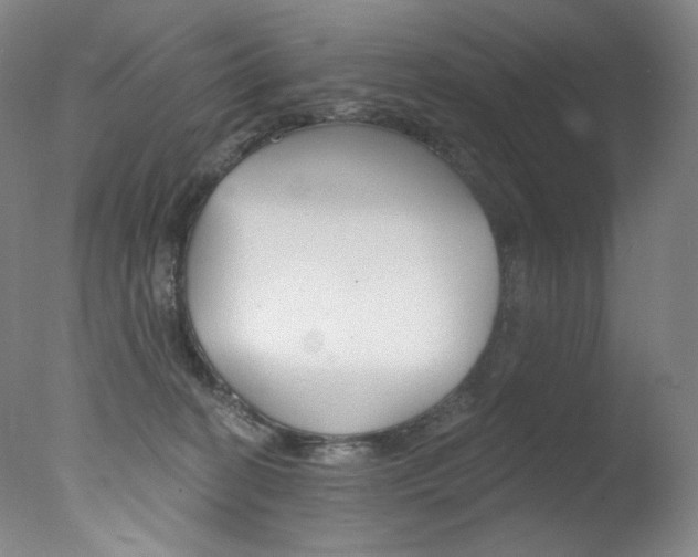 X0000078030274200610271050