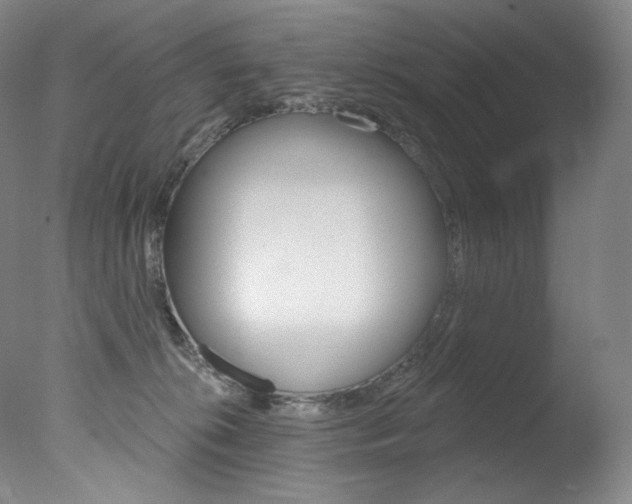 X0000078030276200610271050
