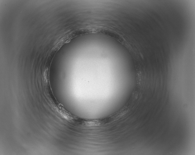 X0000078030286200610271050