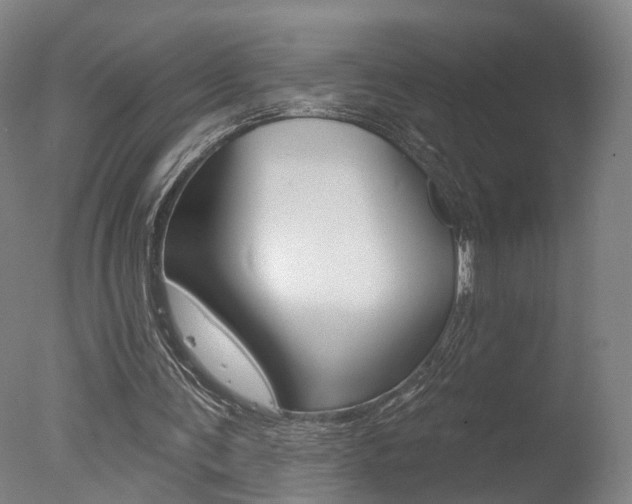 X0000078030291200610271049