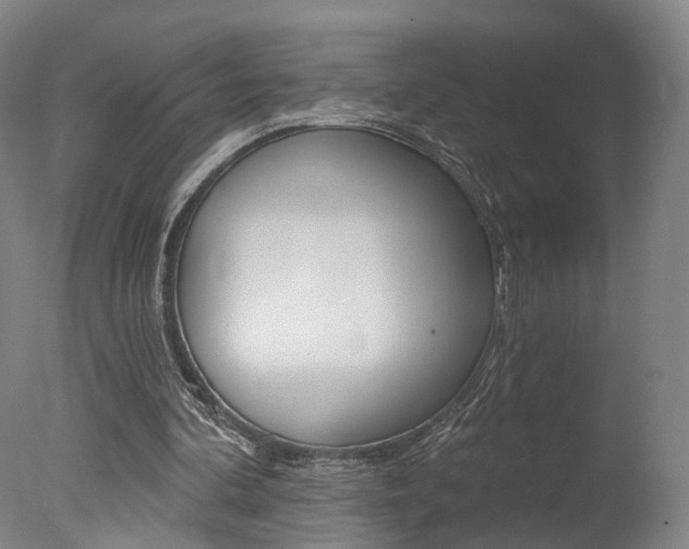 X0000078030292200610271049