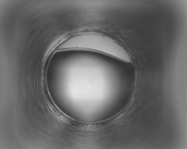X0000078030293200610271049