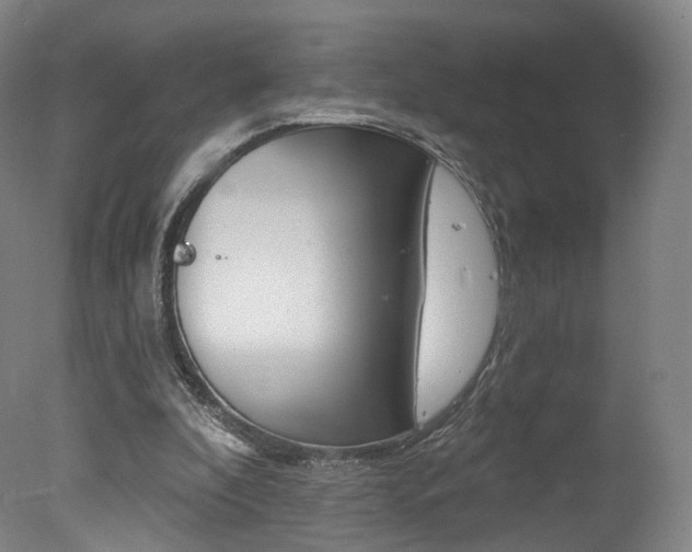 X0000078030296200610271049