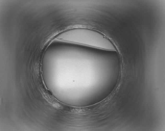 X0000078030297200610271049