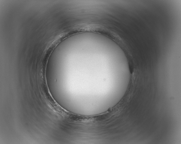 X0000078030306200610271049