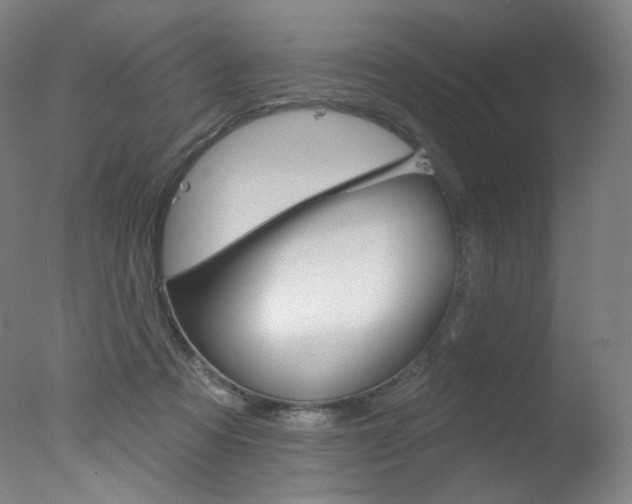 X0000078030313200610271049