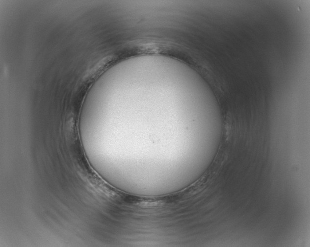 X0000078030314200610271049