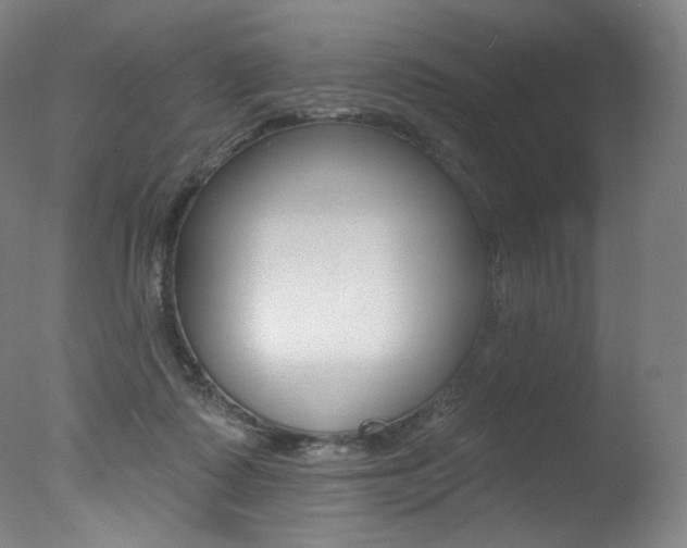 X0000078030315200610271049