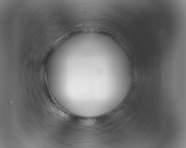 X0000078030318200610271049