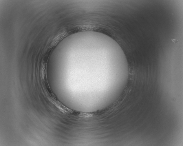 X0000078030334200610271048