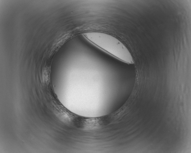 X0000078030335200610271048