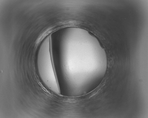 X0000078030341200610271048