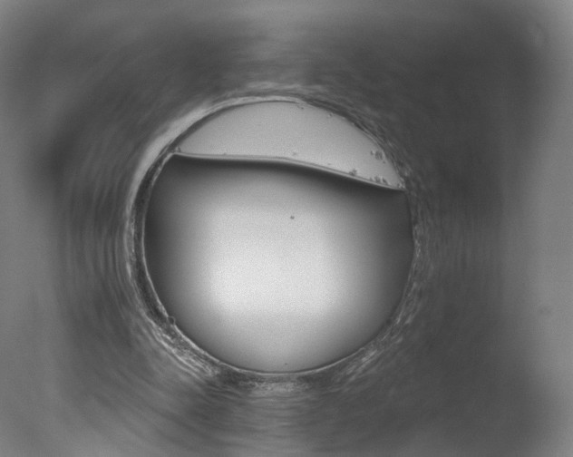 X0000078030342200610271048