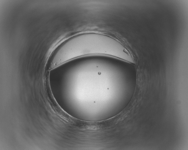 X0000078030344200610271048