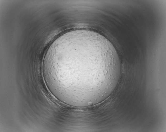 X0000078030347200610271048