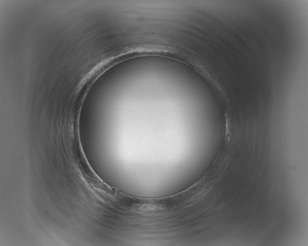X0000078030348200610271048